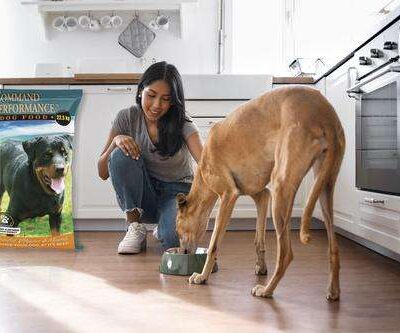 Command Performance Dog Food 22.5 kg - Image 4