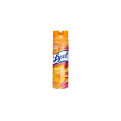 Lysol Disinfectant Spray 19oz Mango & Hibiscus Brand New Day