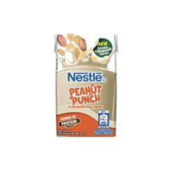 Nestle Peanut Punch 250ML