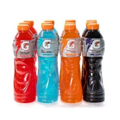 Gatorade 600ml (1x24) Mix