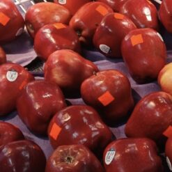 Fresh Fruits Large Red Apple Single