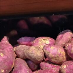 Fresh Prodce Sweet Potato Per lb