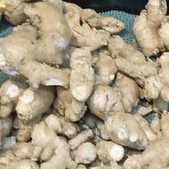 Fresh Produce Ginger Per lb