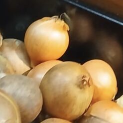 Fresh Produce Onions Per lb