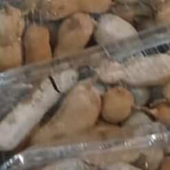 Fresh Produce Tamarind Per Tray