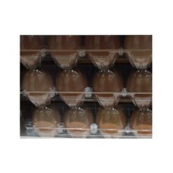 Spring Fresh Farm Extra Large Eggs  Dozen