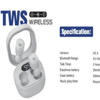 TWS WIRELESS EARPHONES ADAA02